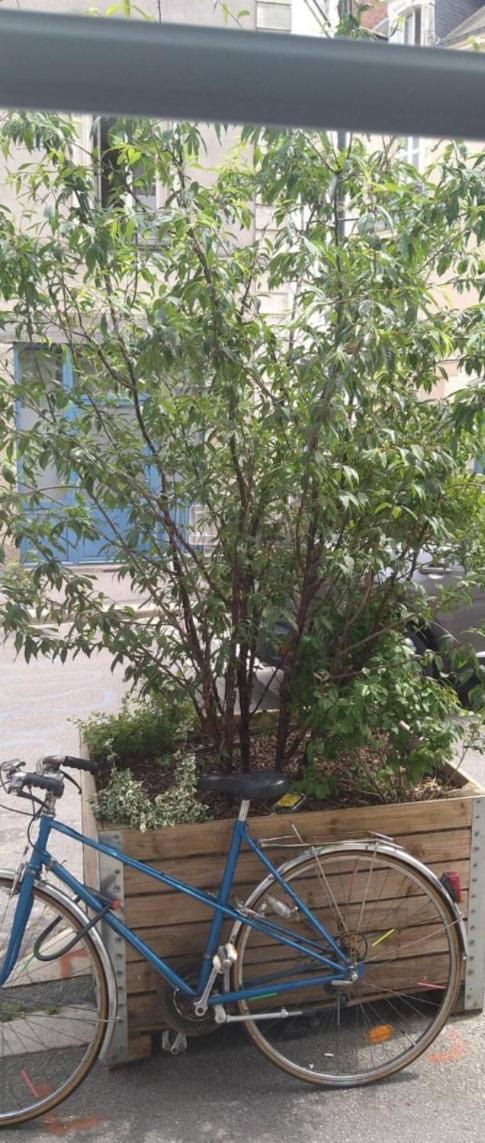 Appartement De Ville نانت المظهر الخارجي الصورة
